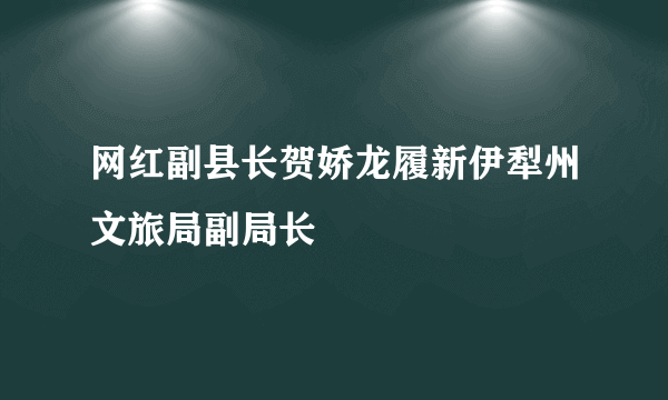 网红副县长贺娇龙履新伊犁州文旅局副局长