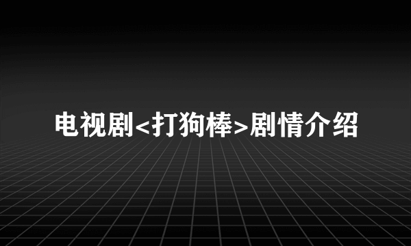 电视剧<打狗棒>剧情介绍