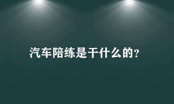 汽车陪练是干什么的？