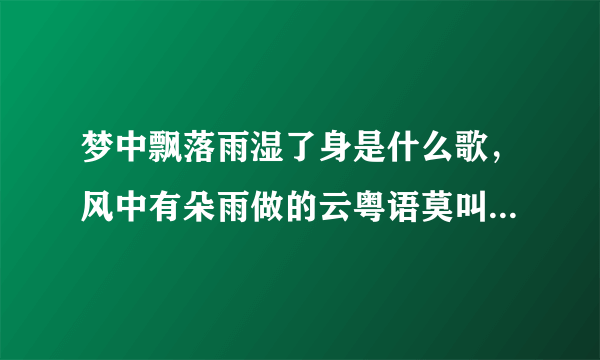 梦中飘落雨湿了身是什么歌，风中有朵雨做的云粤语莫叫语版歌曲介绍