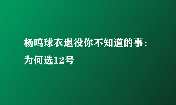 杨鸣球衣退役你不知道的事：为何选12号