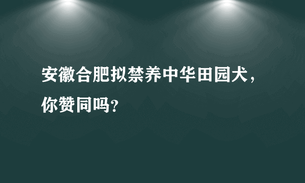 安徽合肥拟禁养中华田园犬，你赞同吗？