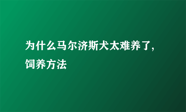 为什么马尔济斯犬太难养了,饲养方法