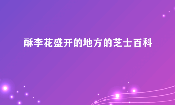 酥李花盛开的地方的芝士百科