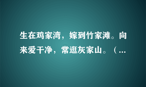 生在鸡家湾，嫁到竹家滩。向来爱干净，常逛灰家山。（打一日常用品）