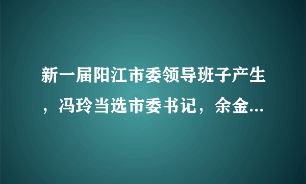 新一届阳江市委领导班子产生，冯玲当选市委书记，余金富、雷玉春当选市委副书记