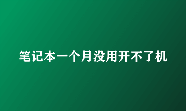 笔记本一个月没用开不了机