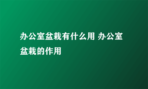 办公室盆栽有什么用 办公室盆栽的作用