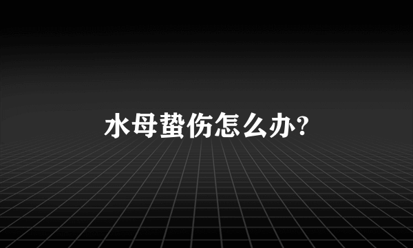 水母蛰伤怎么办?