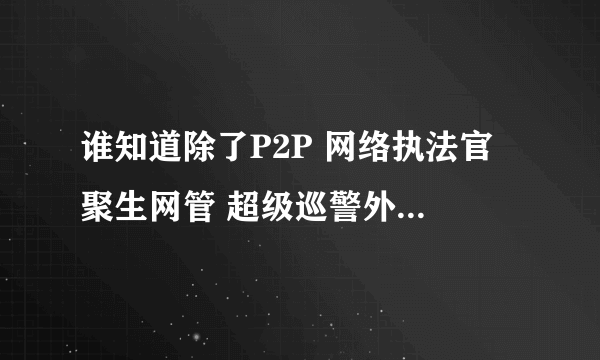 谁知道除了P2P 网络执法官 聚生网管 超级巡警外还有什么比较好的网络管理软件