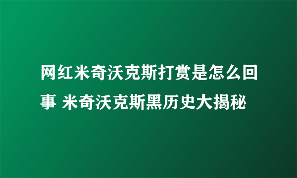 网红米奇沃克斯打赏是怎么回事 米奇沃克斯黑历史大揭秘