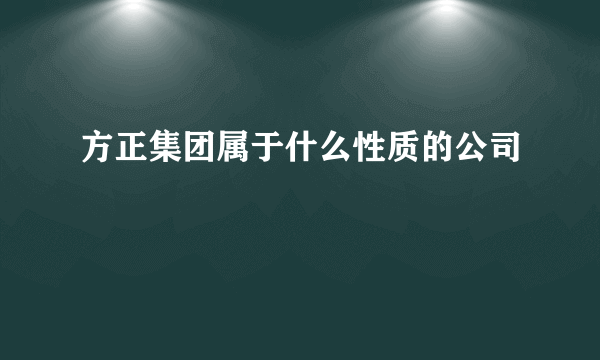 方正集团属于什么性质的公司