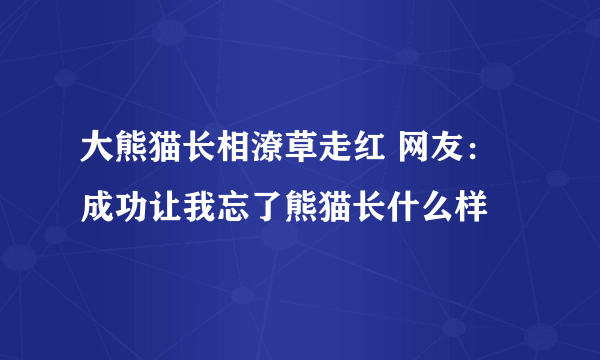 大熊猫长相潦草走红 网友：成功让我忘了熊猫长什么样