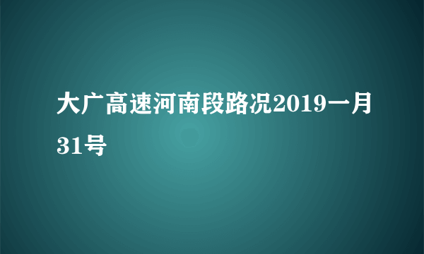 大广高速河南段路况2019一月31号