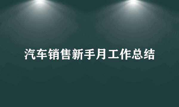 汽车销售新手月工作总结