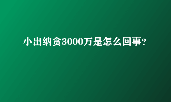 小出纳贪3000万是怎么回事？