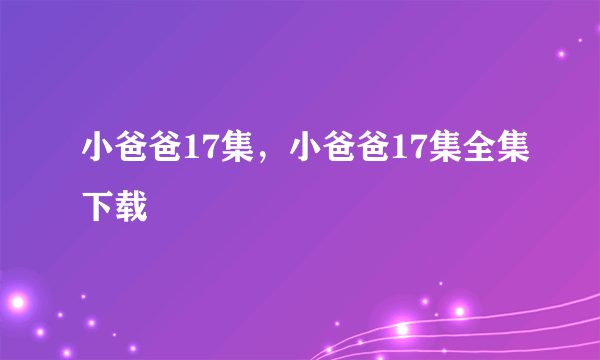 小爸爸17集，小爸爸17集全集下载