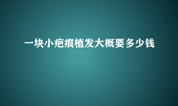 一块小疤痕植发大概要多少钱