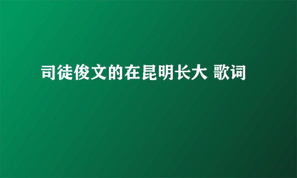 司徒俊文的在昆明长大 歌词