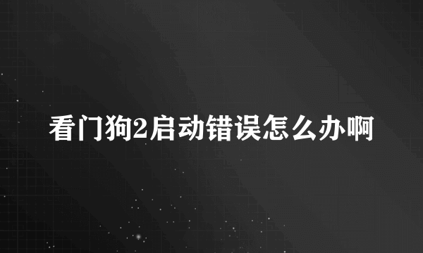 看门狗2启动错误怎么办啊