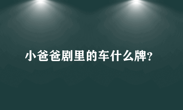 小爸爸剧里的车什么牌？