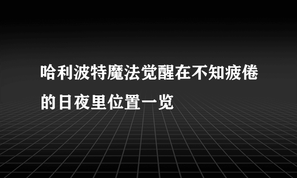 哈利波特魔法觉醒在不知疲倦的日夜里位置一览