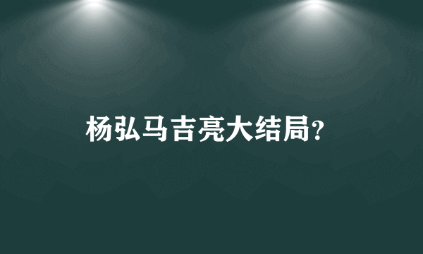 杨弘马吉亮大结局？