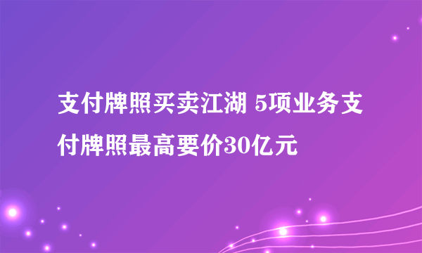 支付牌照买卖江湖 5项业务支付牌照最高要价30亿元