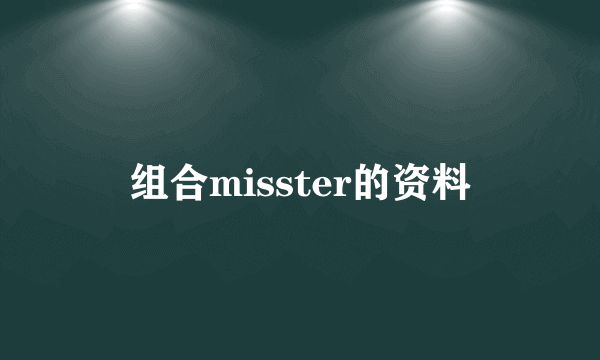 组合misster的资料