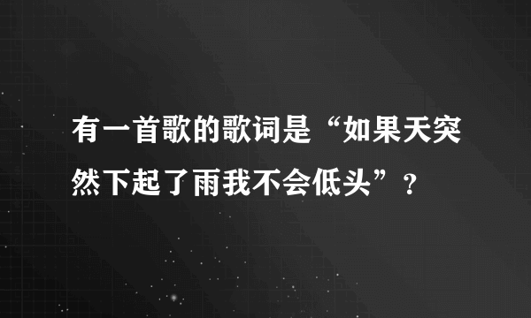 有一首歌的歌词是“如果天突然下起了雨我不会低头”？