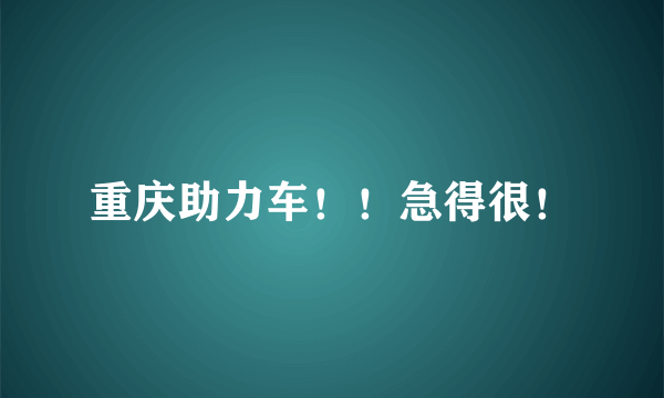 重庆助力车！！急得很！