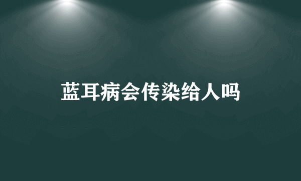 蓝耳病会传染给人吗