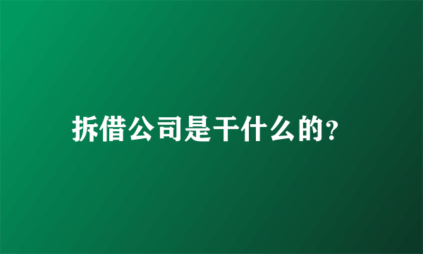 拆借公司是干什么的？