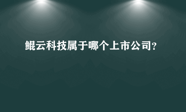 鲲云科技属于哪个上市公司？