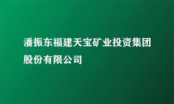 潘振东福建天宝矿业投资集团股份有限公司