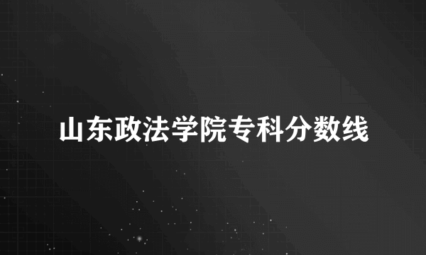 山东政法学院专科分数线