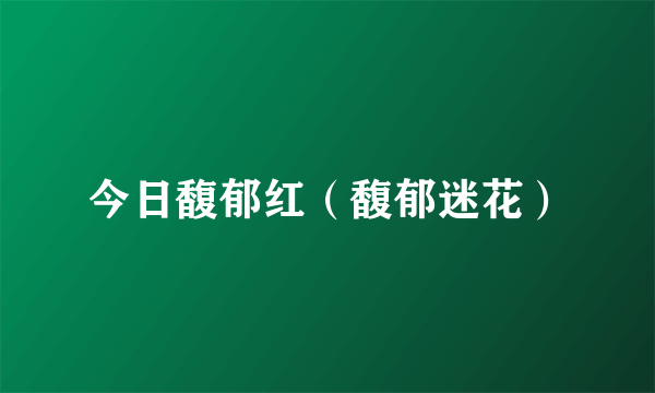 今日馥郁红（馥郁迷花）