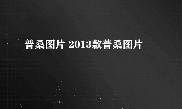 普桑图片 2013款普桑图片