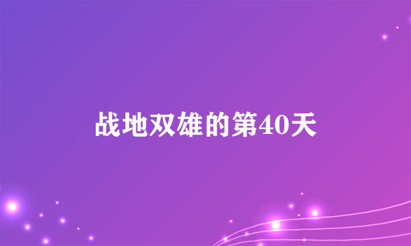 战地双雄的第40天