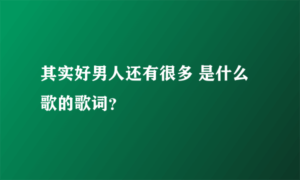 其实好男人还有很多 是什么歌的歌词？