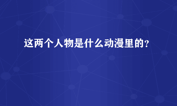 这两个人物是什么动漫里的？