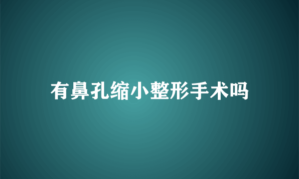 有鼻孔缩小整形手术吗