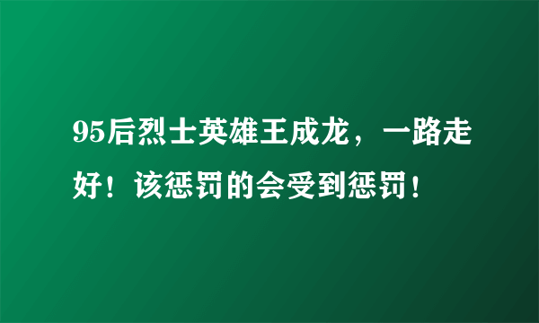 95后烈士英雄王成龙，一路走好！该惩罚的会受到惩罚！