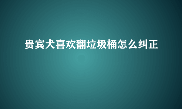 贵宾犬喜欢翻垃圾桶怎么纠正