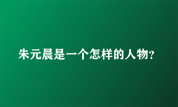 朱元晨是一个怎样的人物？