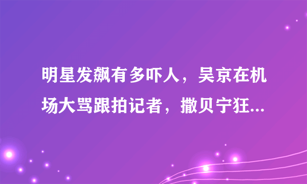 明星发飙有多吓人，吴京在机场大骂跟拍记者，撒贝宁狂怼张绍刚？