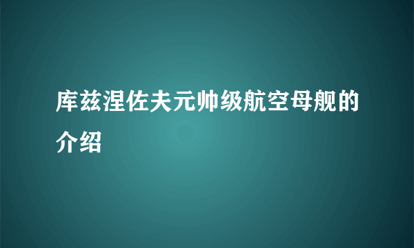 库兹涅佐夫元帅级航空母舰的介绍