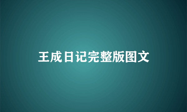 王成日记完整版图文