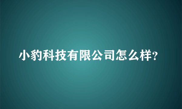 小豹科技有限公司怎么样？