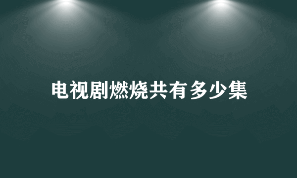 电视剧燃烧共有多少集